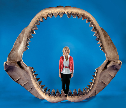 World's largest shark jaw. Heritage Auctions image.